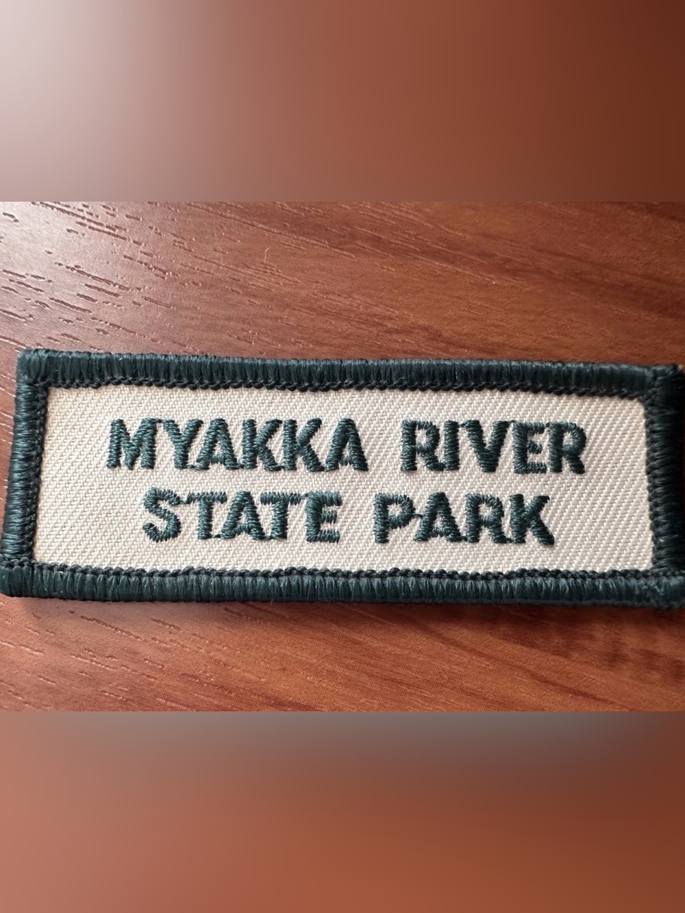 Myakka River State Park Florida Souvenir Embroidered Patch 2.75”